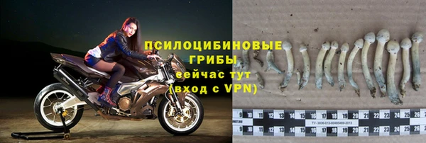 соль ск Медвежьегорск