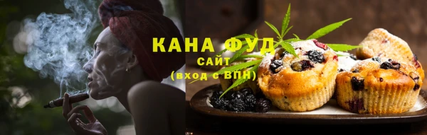 гашик Михайлов