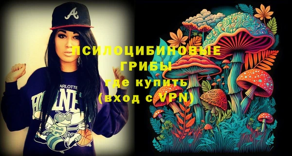 герыч Мегион