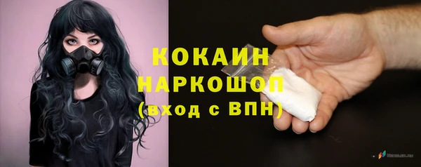 гашик Михайлов