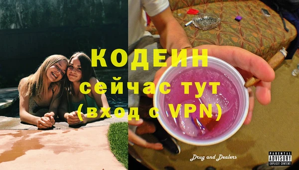 герыч Мегион