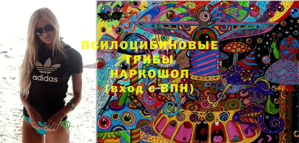 соль ск Медвежьегорск