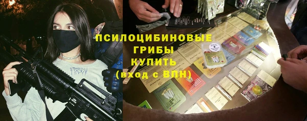 герыч Мегион